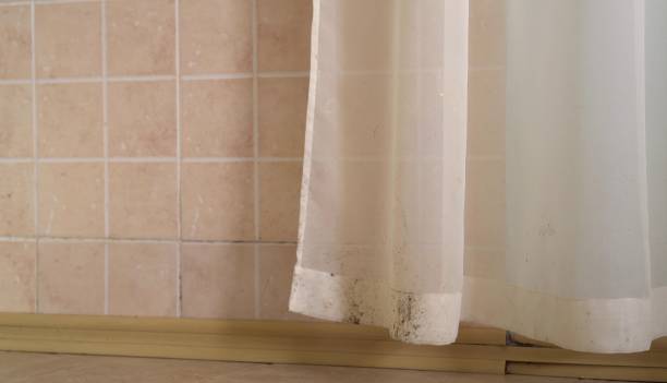 Best Indoor Air Quality Assessment  in Dentsville, SC