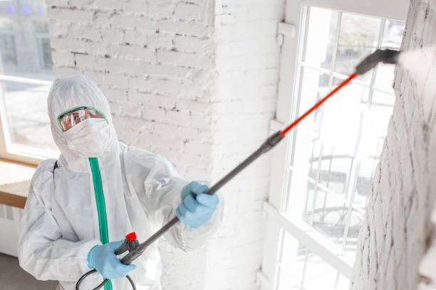 Best Mold Remediation for Vacation Homes  in Dentsville, SC
