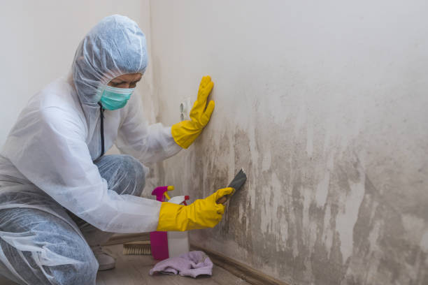 Best Post-Remediation Verification Testing  in Dentsville, SC