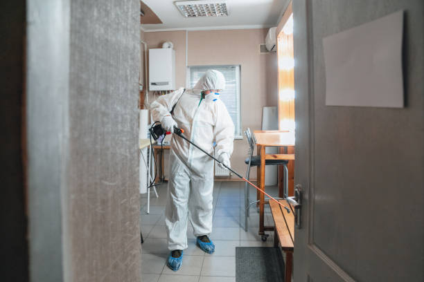 Best Mold Prevention Services  in Dentsville, SC