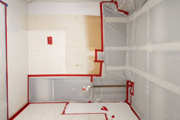 Best Comprehensive Air Testing for Mold Contaminants  in Dentsville, SC