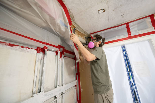 Best Residential Mold Inspection & Testing  in Dentsville, SC
