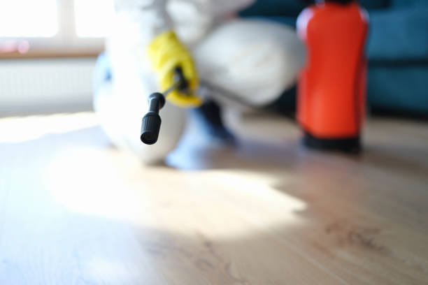 Best Commercial Mold Inspection  in Dentsville, SC