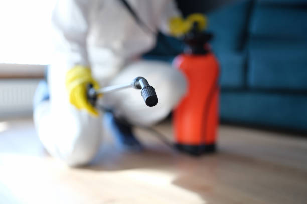 Best Biohazard Mold Removal  in Dentsville, SC